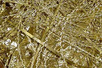 Brass Alloy Bare Brass Alloy Bare